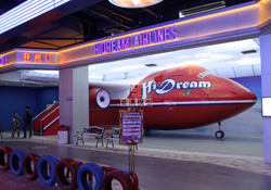 大型客機(jī)體驗(yàn)?zāi)Ｐ?/></a>
                                    <p class=